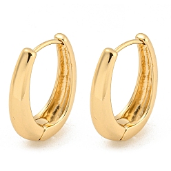Light Gold Alloy Hoop Earring, with Steel Pin, Oval, Light Gold, 23x6x18mm