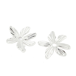 Посеребрённый Шапочки и конусы для бусин, латунные, 6-лепестков цветка, 925 серебро покрытием, 18.5x18.5x3.5 мм, отверстие : 2 мм