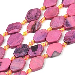 (224) Цвет бронзы Олимп внутри цвета Природные пожары треск агат бисер нитей, окрашенная и подогревом, шестиугольник, 18.5~20.5x14~15x4.5~6.5 мм, отверстие : 1.6 мм, около 16 шт / нитка, 16.34~15.75'' (40~41.5 см)