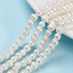 Old Lace Natural Cultured Freshwater Pearl Beads Strands, Potato, Old Lace, 6.5~7mm, Hole: 0.8mm, about 57~58pcs/strand, about 13.39~13.58''(34~34.5cm)