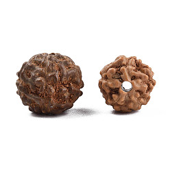 Sienna Undyed Natural Rudraksha Beads, Round, Sienna, 8~9.5x7~9.5mm, Hole: 1.2mm
