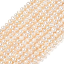 Beige Natürliche kultivierte Süßwasserperlenperlenstränge, Note 2a+, Kartoffel, beige, 4.8~5.2 mm, Bohrung: 0.5 mm, ca. 79~80 Stk. / Strang, 13.58~13.78'' (34.5~35 cm)