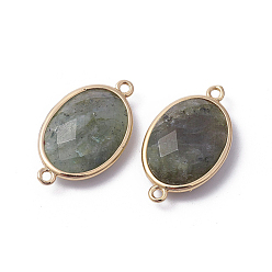 Labradorite Golden Tone Brass Natural Labradorite Links connectors, Faceted, Oval, 26x15x6mm, Hole: 1~2mm