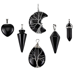 Mixed Stone 6Pcs 6 Style Natural Obsidian & Black Agate Pendants, with Platinum Tone Finding, Mixed Shapes, 22~55x15~31mm, 1pcs/style