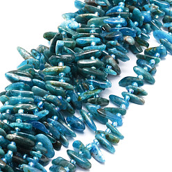 Apatite Perles naturelles apatite brins, nuggets, 9.5~30x4.5~7.5x1.5~5mm, Trou: 0.8mm, Environ 80 pcs/chapelet, 15.75 pouce (40 cm)