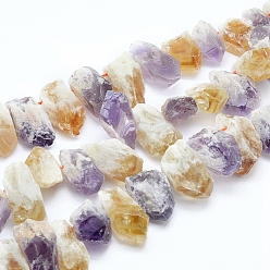 Mixed Stone Natural Citrine and Amethyst Beads Strands, Top Drilled Beads, Rough Raw Stone, Nuggets, 15~38x10~16mm, Hole: 2mm, about 30~34pcs/strand, 15.75 inch(40cm)