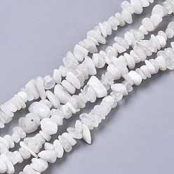 Rainbow Moonstone Natural Rainbow Moonstone Beads Strands, Chip, 4~12x6~12x2~5mm, Hole: 0.8mm, about 33.86 inch(86cm)