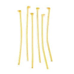 Золотой Железные штыри с плоской головкой, без кадмия и без свинца, золотые, 35x0.75~0.8 мм, 20 датчик, Около 5400 шт / 1000 г, Руководитель: 2 mm