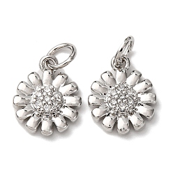 Платина Латунные микро проложить кубического циркония подвески, с целью перехода в кольце, , стойки покрытие, долговечный, без свинца и без кадмия, платина, 12.5x10x2.5 мм, отверстие : 3.5 мм