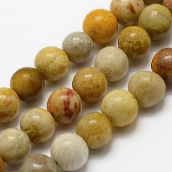 Fossil Coral Natural Fossil Coral Beads Strands, Round, 8mm, Hole: 1mm, about 48pcs/strand, 15.3 inch(39cm)