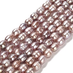 Rosy Brown Natural Cultured Freshwater Pearl Beads Strands, Rice, Grade 2A, Rosy Brown, 5~6x3~4.5mm, Hole: 0.7mm, about 62~65pcs/strand, 14.17 inch(36cm)