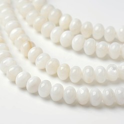 Old Lace Dyed Natural Freshwater Shell Rondelle Bead Strands, Old Lace, 6x4mm, Hole: 1mm, about 91pcs/strand, 15.6 inch