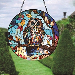 Owl Stained Acrylic Window Hanger Panel, with Metal Chain and Jump Rings, for Suncatcher Window Hanging Decoration, Owl, 150x2mm