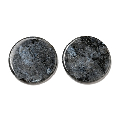 Larvikite Natural Larvikite Pendants, Flat Round Charms, 29.5~30x3mm, Hole: 1.6mm