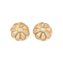 Real 18K Gold Plated 316 Stainless Steel Bead Caps, Multi-Petal, Flower, Real 18K Gold Plated, 8x3mm, Hole: 1.5mm