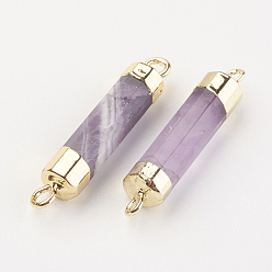 Amethyst Natural Gemstone Links connectors, with Brass Findings, Column, 25~27x5~6mm, Hole: 2mm