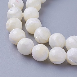 Other Sea Shell Shell Beads Strands, Faceted, Round, 10~10.3mm, Hole: 1.5mm, about 40pcs/strand, 15.86 inch(40.3cm)