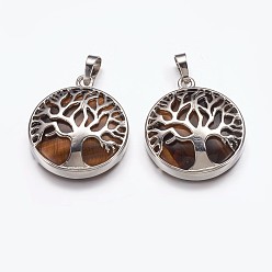 Tiger Eye Natural Tiger Eye Pendants, with Brass Finding, Flat Round with Tree of Life, Platinum, 31x27x6mm, Hole: 5x8mm