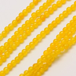 Gold Natural White Jade Round Bead Strands, Dyed, Gold, 3mm, Hole: 0.8mm, about 110pcs/strand, 15~15.5 inch