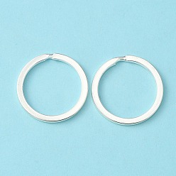 Серебро Железа отделились брелоки, брелок для ключей, серебряные, 30x2 мм