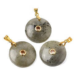 Labradorite Natural Labradorite Pendants, Coin Charms with Brass Pave Cubic Zirconia Findings, Golden, 27x21x5mm, Hole: 4x3.5mm