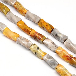 Crazy Agate Natural Crazy Agate Twist Column Beads Strands, 21x10x10mm, Hole: 1mm, about 20pcs/strand, 15.74 inch