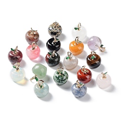 Mixed Stone Mixed Gemstone Pendants, with Alloy Enamel Loops, Apple, for Teacher's Day, 16x14mm, Hole: 4x2mm