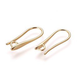 Golden Brass Earring Hooks, with Horizontal Loop, Golden, 19.5x8x2.5mm, Hole: 2mm, 18 Gauge, Pin: 1mm