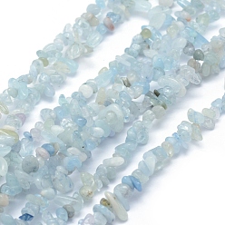 Aquamarine Natural Aquamarine Beads Strands, Chip, 3~5mm, Hole: 0.6mm, about 33 inch(84cm)