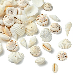 (52) Непрозрачная лаванда 48 шт. 4 стильные бусины из натуральных ракушек, разнообразные, разноцветные, 17~25x6~32x6~13 мм, отверстие : 1~1.2 мм, 12 шт / стиль