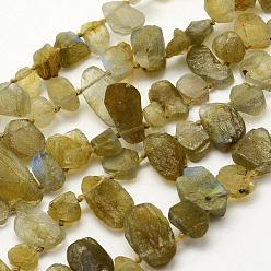 Labradorite Natural Labradorite Beads Strands, Nuggets, 6~21x4~11x3~7mm, Hole: 0.5mm, 15.3 inch