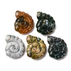 (RRHB277) Кристалл на подкладке из медово-бежевого цвета Природного индийского агата подвески, двухсторонний резной наутилус с верхним сверлением, 29x25x9.5 мм, отверстие : 1 мм