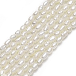 Льняное Полотно Нити из натурального культивированного пресноводного жемчуга, рис, белье, 1.7~2x2.2~3.3 мм, отверстие : 0.5 мм, около 140~152 шт / нитка, 15.35''~15.75" (39~40 см)