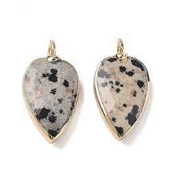Dalmatian Jasper Natural Dalmatian Jasper Pendants, with Golden Plated Brass Edge Loops, Faceted, Heart Charms, 23~23.5x12~12.5x5.5mm, Hole: 3mm