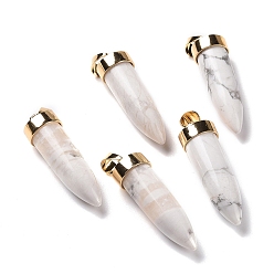 Howlite Natural Howlite Pointed Pendants, Cone Charms, with Golden Tone Alloy and Iron Findings, 42.5~46x14~15mm, Hole: 8x6mm
