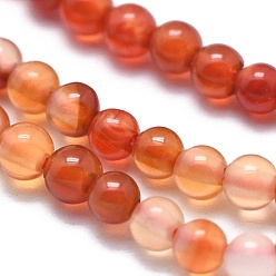 Carnelian Natural Carnelian Beads Strands, Round, 2mm, Hole: 0.5mm, about 195pcs/strand, 15.35 inch(39cm)