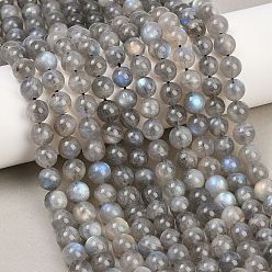 Лабрадорита Природные лабрадорита бисер нитей, гладкий круглый, 8 мм, отверстие : 1 мм, около 46 шт / нитка, 15.35'' (39 см)