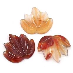 Red Agate Natural Red Agate Autumn Maple Leaf Pendants, Leaf Charms, 43x47~53x7mm, Hole: 2mm