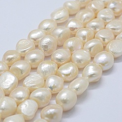 Old Lace Natural Cultured Freshwater Pearl Beads Strands, Potato, Old Lace, 11~12x11~12x8~9mm, Hole: 0.2mm, about 30pcs/strand, 14.1 inch
