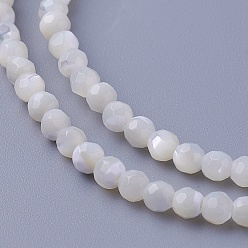 Other Sea Shell Shell Beads Strands, Faceted, Round, 3~3.5mm, Hole: 0.8mm, about 118pcs/strand, 15.31 inch(38.9cm)