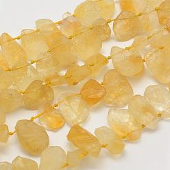 Citrine Brins de perles de citrine naturelle de qualité brute brute, nuggets, 14~30x9~16x4~10mm, Trou: 0.5mm, 16.1 pouce (40.9 cm)