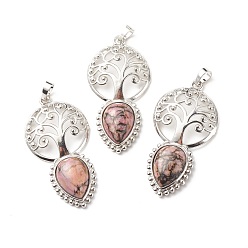 Rhodonit Natur rhodonite große Anhänger, mit platinen Messing Zubehör  , cadmiumfrei und bleifrei, Baum mit Träne, 55x28x8 mm, Bohrung: 4.8x7.5 mm