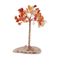 Carnelian Natural Carnelian Chips and Natural Agate with Mixed Stone Pedestal Display Decorations, with Rose Gold Plated Brass Wires, Lucky Tree, 31~42x60~68x100~104mm