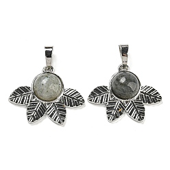 Лабрадорита Природные подвески лабрадорита, стойки покрытие латунь лист прелести, платина, без кадмия и без свинца, 22x27x7 мм, отверстие : 8x5 мм