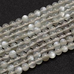 Gris Brins de perles de pierre de lune grise naturelle, AA grade, ronde, grises , 6mm, Trou: 0.8mm, Environ 68 pcs/chapelet