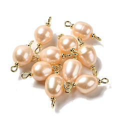 PeachPuff Natural Pearl Connector Charms, Potato Links with Real 18K Gold Plated Brass Double Loops, PeachPuff, 23~24x8.5~10mm, Hole: 1.5mm