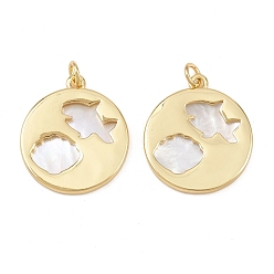 Shark Природные подвески оболочки, латунные полые плоские круглые подвески с соединительными кольцами, реальный 18 k позолоченный, без свинца и без кадмия, долговечный, стойки покрытие, цвет морской раковины, акула, 23x20.5x2 мм, отверстие : 3.4 мм