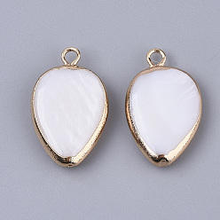 Seashell Color Edge Plated Freshwater Shell Pendants, for DIY Jewelry Making, with Golden Plated Brass Loops and Half Drilled, Teardrop, Seashell Color, 20~23x13~14x4~6mm, Hole: 0.9~1.8mm