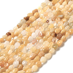 Yellow Aventurine Natural Yellow Aventurine Beads Strands, Nuggets, 7~14x4~8x4~7mm, Hole: 1mm, about 44~50pcs/strand, 38.5~39.5cm
