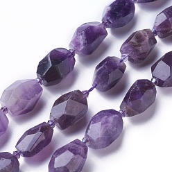 Indigo Natural Amethyst Beads Strands, Faceted, Polygon, Indigo, 19~22x12~18mm, Hole: 1.5mm, about 16~17pcs/strand, 15.15 inch~16.14 inch(38.5~41cm)